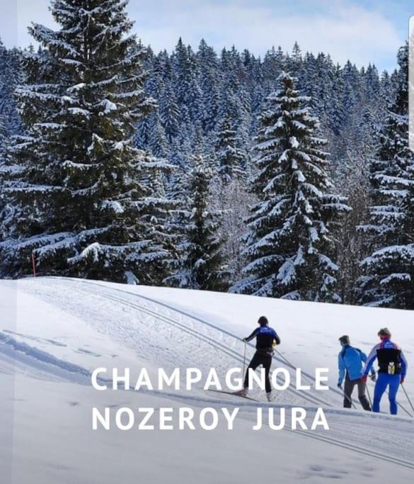 Gite Jura Mina Chalet Au Milieu De La Nature Ney Exterior foto