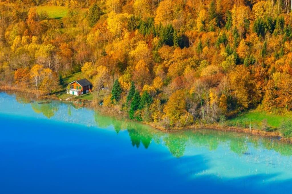 Gite Jura Mina Chalet Au Milieu De La Nature Ney Exterior foto