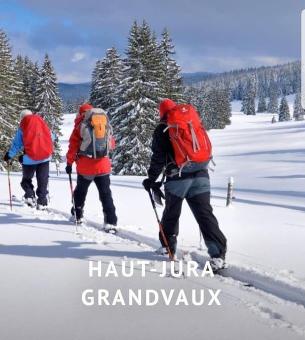 Gite Jura Mina Chalet Au Milieu De La Nature Ney Exterior foto