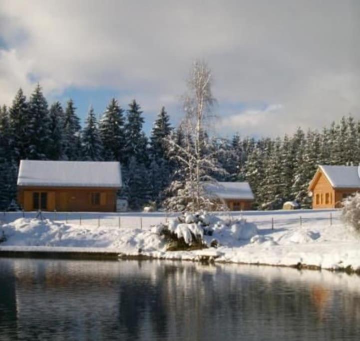 Gite Jura Mina Chalet Au Milieu De La Nature Ney Exterior foto